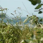 Ferienbauernhof Liesenberg Jagdreihenhaus Fuchs Hébergement de vacances *
