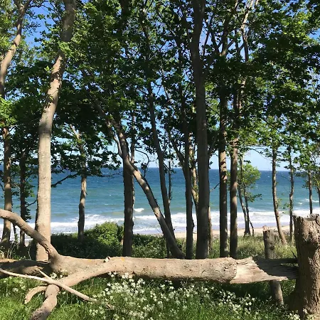 Ferienbauernhof Liesenberg Jagdreihenhaus Fuchs Fehmarn