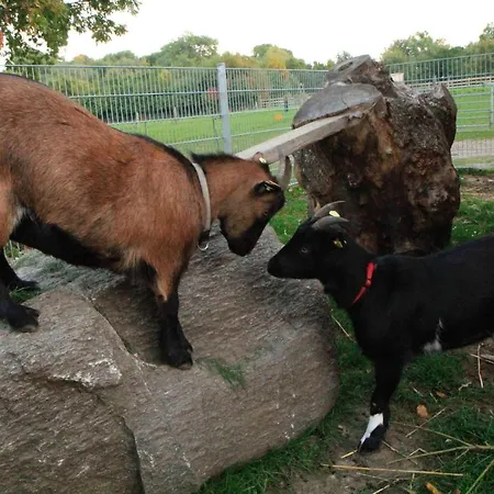 Nyaraló Ferienbauernhof Liesenberg Jagdreihenhaus Fuchs