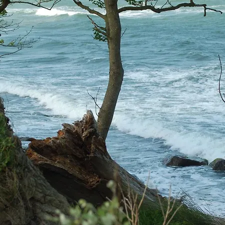 Ferienbauernhof Liesenberg Jagdreihenhaus Fuchs Nyaraló Fehmarn
