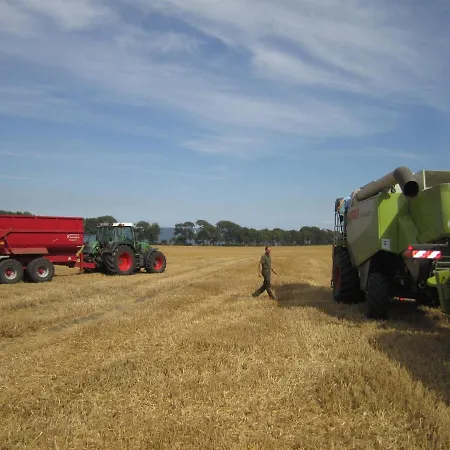 Ferienbauernhof Liesenberg Jagdreihenhaus Fuchs Fehmarn