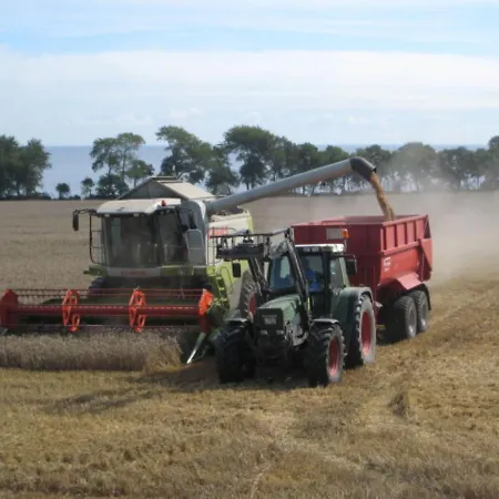 Ferienbauernhof Liesenberg Jagdreihenhaus Fuchs Nyaraló Fehmarn