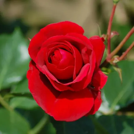 Ferienbauernhof Liesenberg Jagdreihenhaus Fuchs Nyaraló