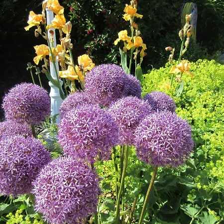 Ferienbauernhof Liesenberg Jagdreihenhaus Fuchs Fehmarn